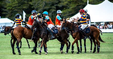 New Zealands Top Polo Tournament Ready To Play ∙ Elocal Digital