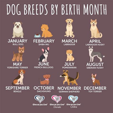 Dog 🐕 Calendars Dog Calendar Month Animals Dog Breeds