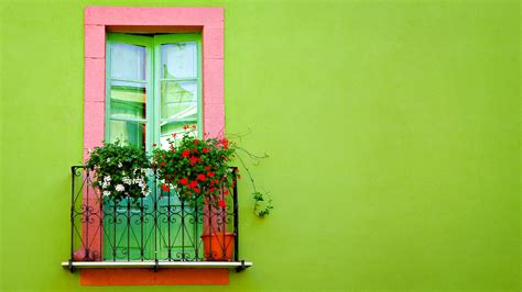 Green Wall Window Wallpapers Hd Wallpapers Id 10025