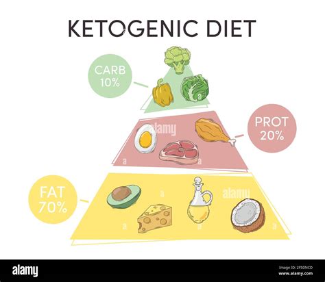 Healthy Ketogenic Diet Pyramid Chart Stock Vector Image And Art Alamy