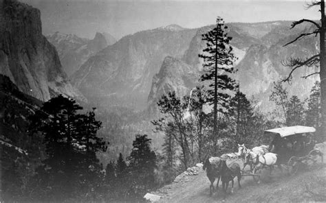 Horse Stage On Wawona Road Late 1800s Early 1900s Four Horses And