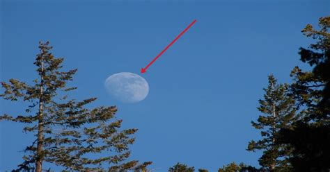 Why Do We Sometimes See The Moon During Daytime Heres The Reason