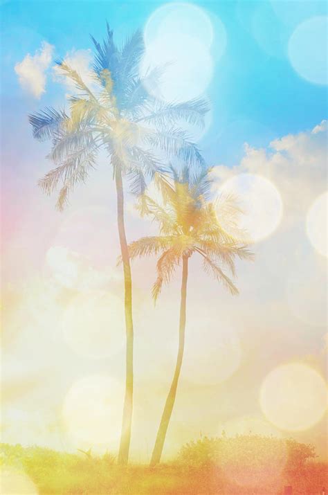 Dreamy Palm Trees Photograph By Patricia Awapara Fine Art America