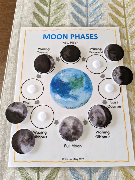 Moon Phases Printable Phases Of The Moon Flashcards Etsy