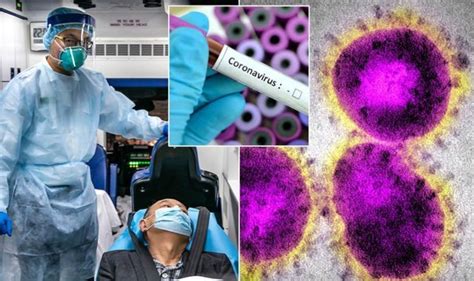Try as we might, we won't always have a handle on our emotions. Coronavirus explained: Why is it called coronavirus - What ...