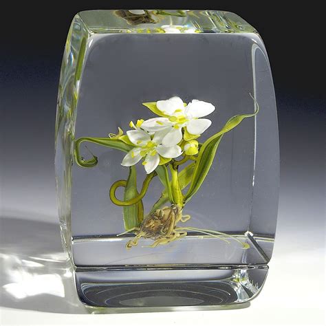 Paul J Stankard Paperweight Small Botanical Cube 1991 2 3 8 By 2 3 8 Base 3 1 4 High 21