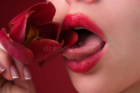 Labios Lamidos Boca De Mujer Con Labios Sensuales Lamiendo La Flor De