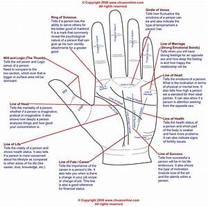 Palm Reading Leitura De Mãos Meditação Para Iniciantes Chacras