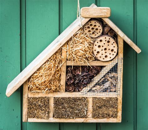 Fabriquer Une Maison A Insecte C Est Quoi Un Hotel A Insectes Animanature