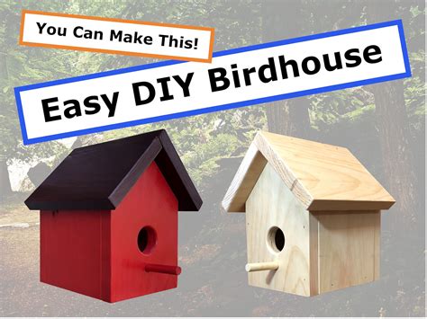 Simple Bird House Plans And Instructions Super Easy Diy Nature Project
