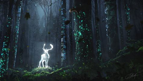 Hd Wallpaper Deer In Enchanted Forest