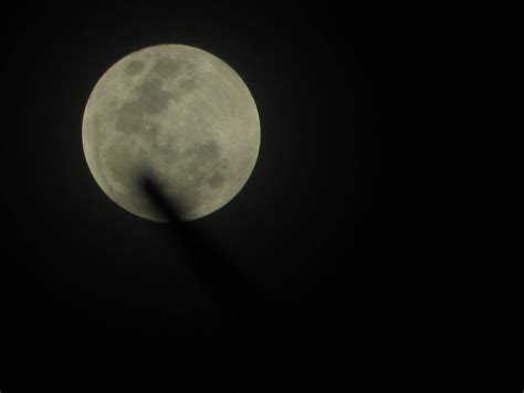 Free Stock Photo Of Full Moon Moon Moonlight