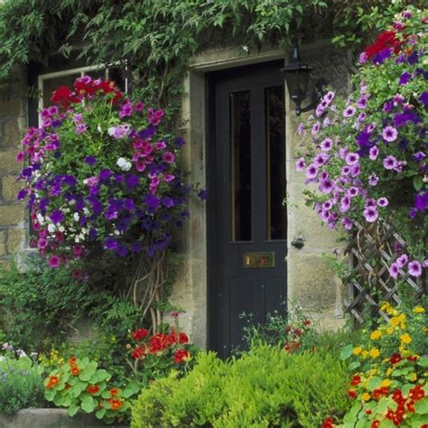 Fuchsia is an elegant and colorful flowering hanging basket plant that prefers shade and cool summers. Hanging basket ideas: New planting ideas for fabulous ...