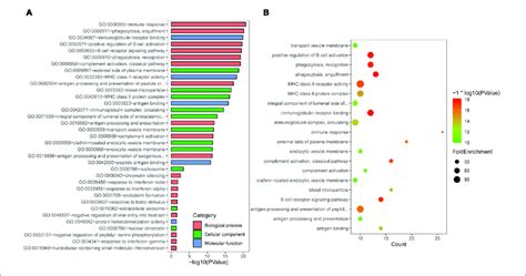 Gene Ontology GO Enrichment Analysis A GO Analysis Of DEGs