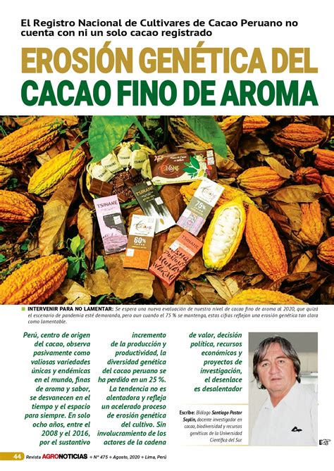 Investiga Innova Cacao Chocolate Research Innova Cocoa Chocolate