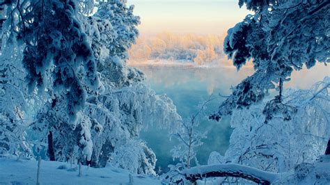 Landscapes Nature Winter Snow Trees Frozen Wallpaper 1920x1080