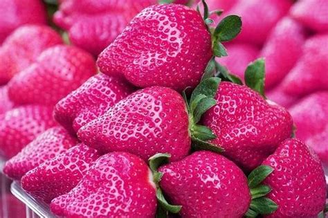 Beautiful Food Fruit Like Love Pink Strawberries