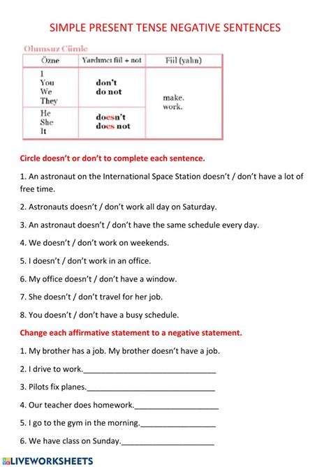 English Negative Sentences Worksheet 3 Grade 2 Estudynotes Using The