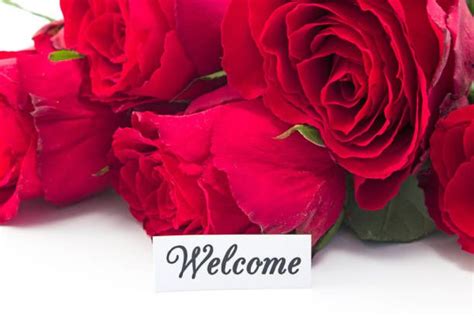 Welcome Card With Bouquet Of Red Roses Red Roses Welcome Card Rose
