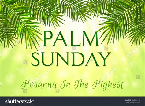 Palm Sunday Over 3513 Royalty Free Licensable Stock Vectors And Vector