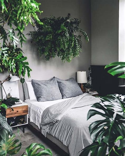 How To Incorporate Biophilic Interior Design In Your Home Examples