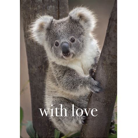With Love Koala T Tag Tm13 Affirmations Publishing House