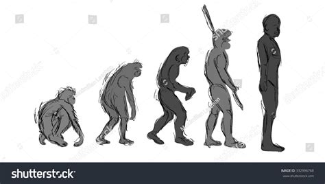 Evolution Human Species Homo Sapiens Stock Vector 332996768 Shutterstock