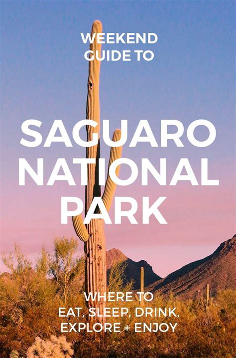 Things To Do In Saguaro National Park Weekend Guide To Saguaro