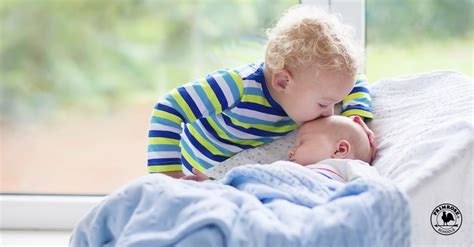 5 Ways To Help Your Little One Become A Big Sibling Primrose Schools