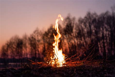 Beautiful Campfire In The Evening At Lake Fire Burning In Dusk Stock