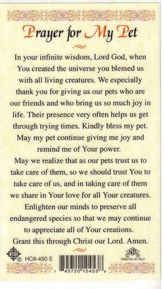 I also ask that you take away their fears and suffering so that as they recover, they will be comfortable and at peace. Prayer For Healing A Sick Pet | ANIMAL CARE/WELFARE ...
