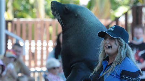 Coffs Harbours Dolphin Marine Conservation Park Supported By