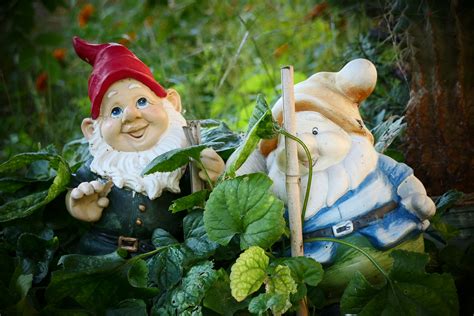 The Uk Is Experiencing A Shortage Of Garden Gnomes 12 Tomatoes