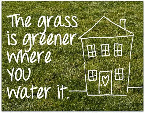 The Grass Is Greener Where You Water It By Andrew Johnson Medium