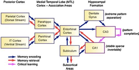 The Hippocampus Acts As An Index Encoding Information From Across The