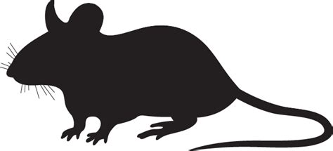 Rat Silhouette At Getdrawings Free Download