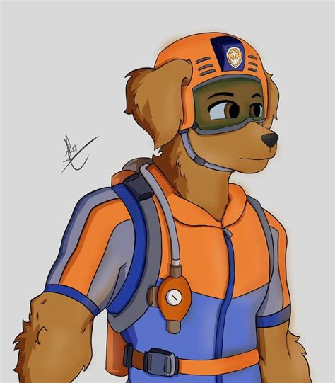 Zuma By Shein07 On Deviantart In 2020 Zuma Paw Patrol Paw Patrol