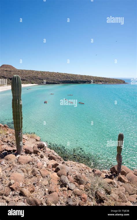 Sea Kayaking Espiritu Santo Island Baja California Sur Mexico Stock
