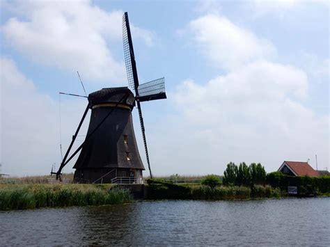 Coots, mallards, different types of wild geese (which during the breeding roam around with chicks), herons, egrets landscape: Kinderdijk windmills Netherlands | Sophie's World Travel ...