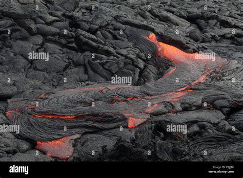 Fresh Pahoehoe Lava Flow From The Puu Oo Vent On The Flanks Of Kilauea