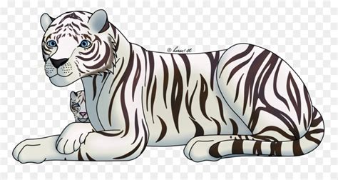 Tigre Desenho Tigre Branco png transparente grátis