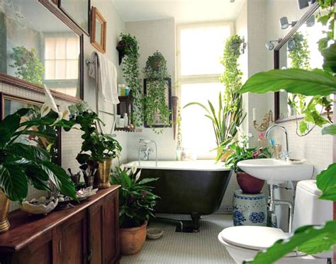 The Best Bathroom Plants For Your Interior Decoist