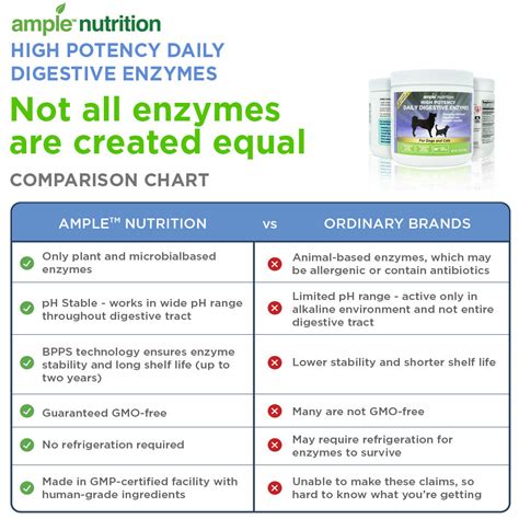 Best Nutritional Digestive Enzyme Supplement For Dogs And Cats Ample