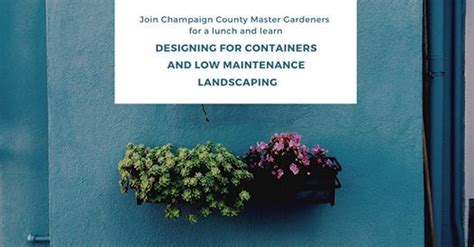 Designing For Containers And Low Maintenance Landscaping University Of