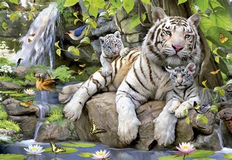 Educa 14808 Puzzle Animal Dulte Tigre Blancs Bengale 1000 Pièces