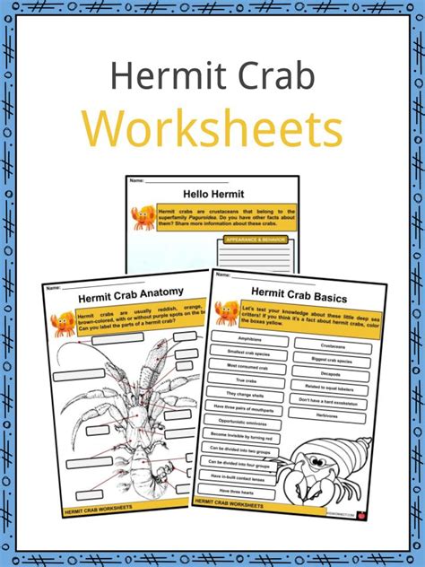 Hermit Crab Facts Worksheets And Biological Description For Kids