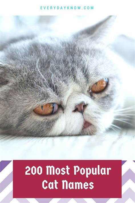 Mythological inspiration for unusual cat names. Pin on pet