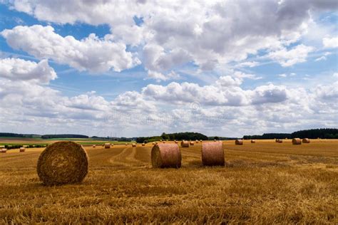 Bales Of Hay Lying In Open Field South France Stock Image Image Of
