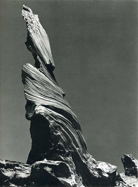 Art Tumblr Edward Weston Modern Photography Black And White