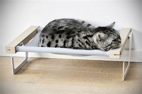 Used for exercise, fun or simply as a perch, birds will enjoy the reassuring natural movement. Woozy is the First Cat Hammock That Lets You Hang on the Radiator or Place on the Floor | SHOUTS